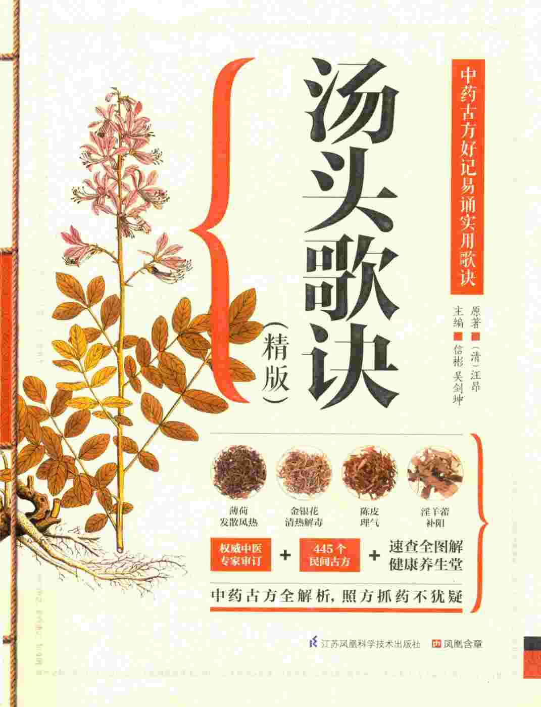 汤头歌诀  精版